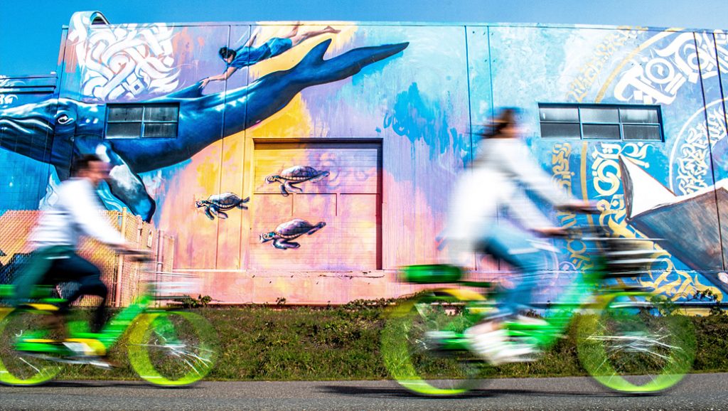 Two people on green bicycles ride past a mural of a whale, diver, and sea turtles.