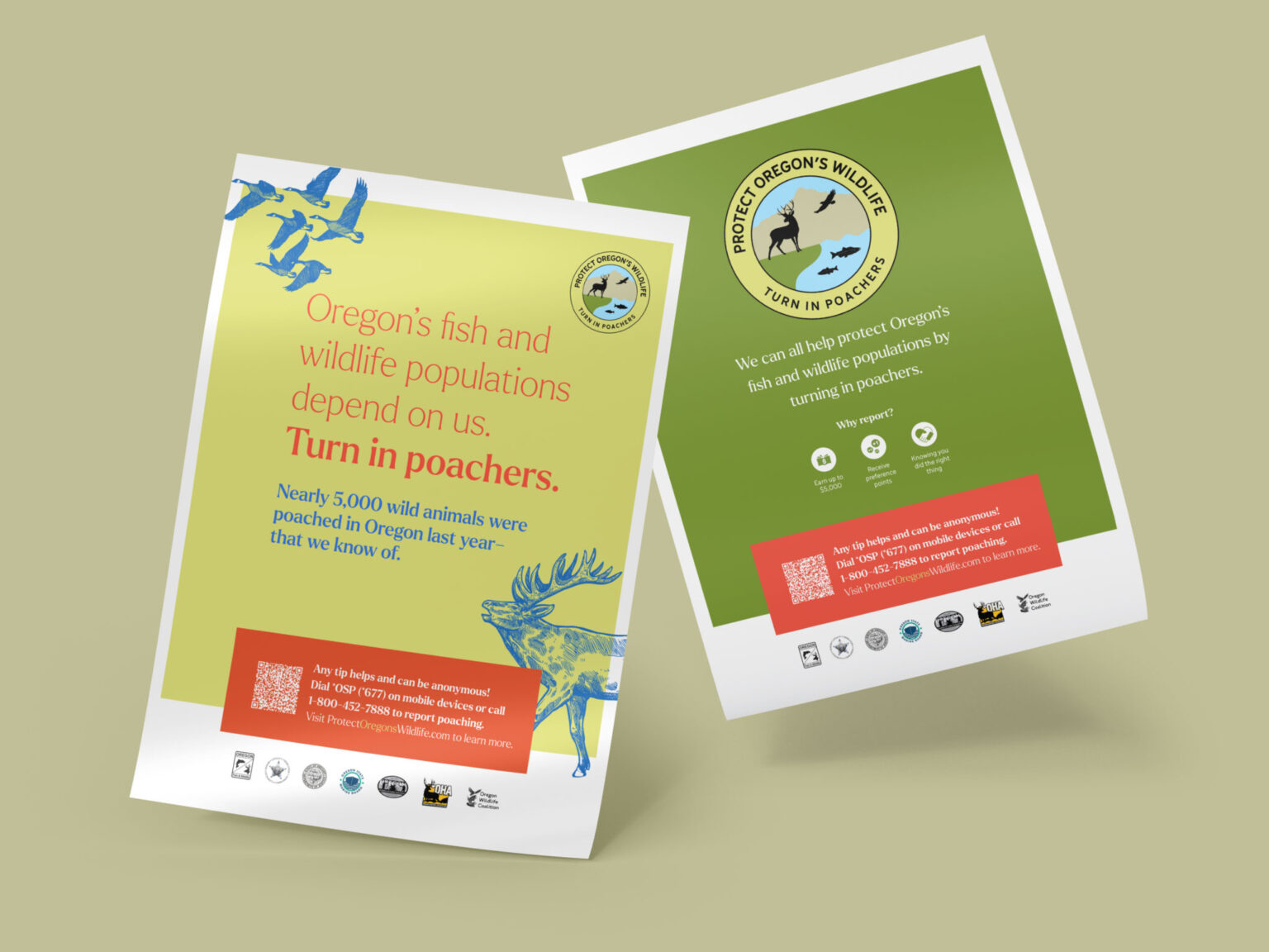 A mockup displaying the front and back of a print ad, Turn in poachers