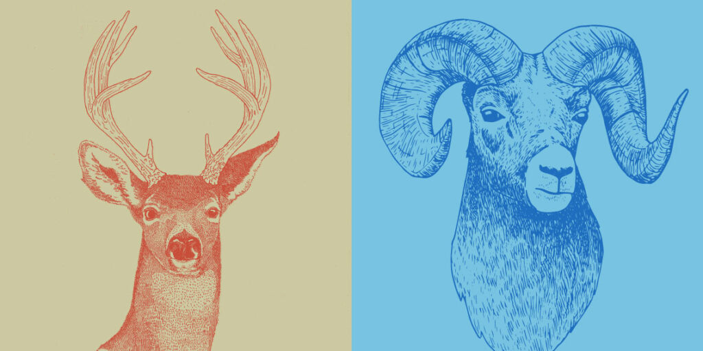 Line art illustrations of Oregon Wildlife, deer and ram